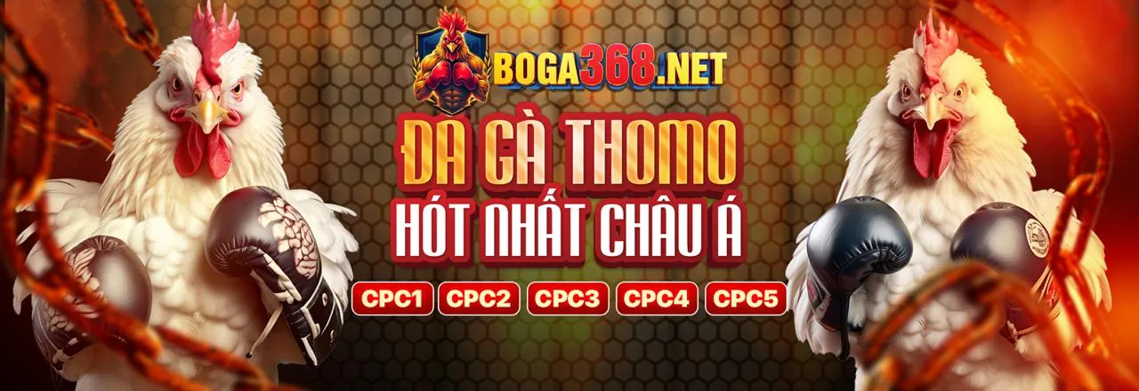 Đá Gà Trực Tuyến 89bet1 Đăng Ký